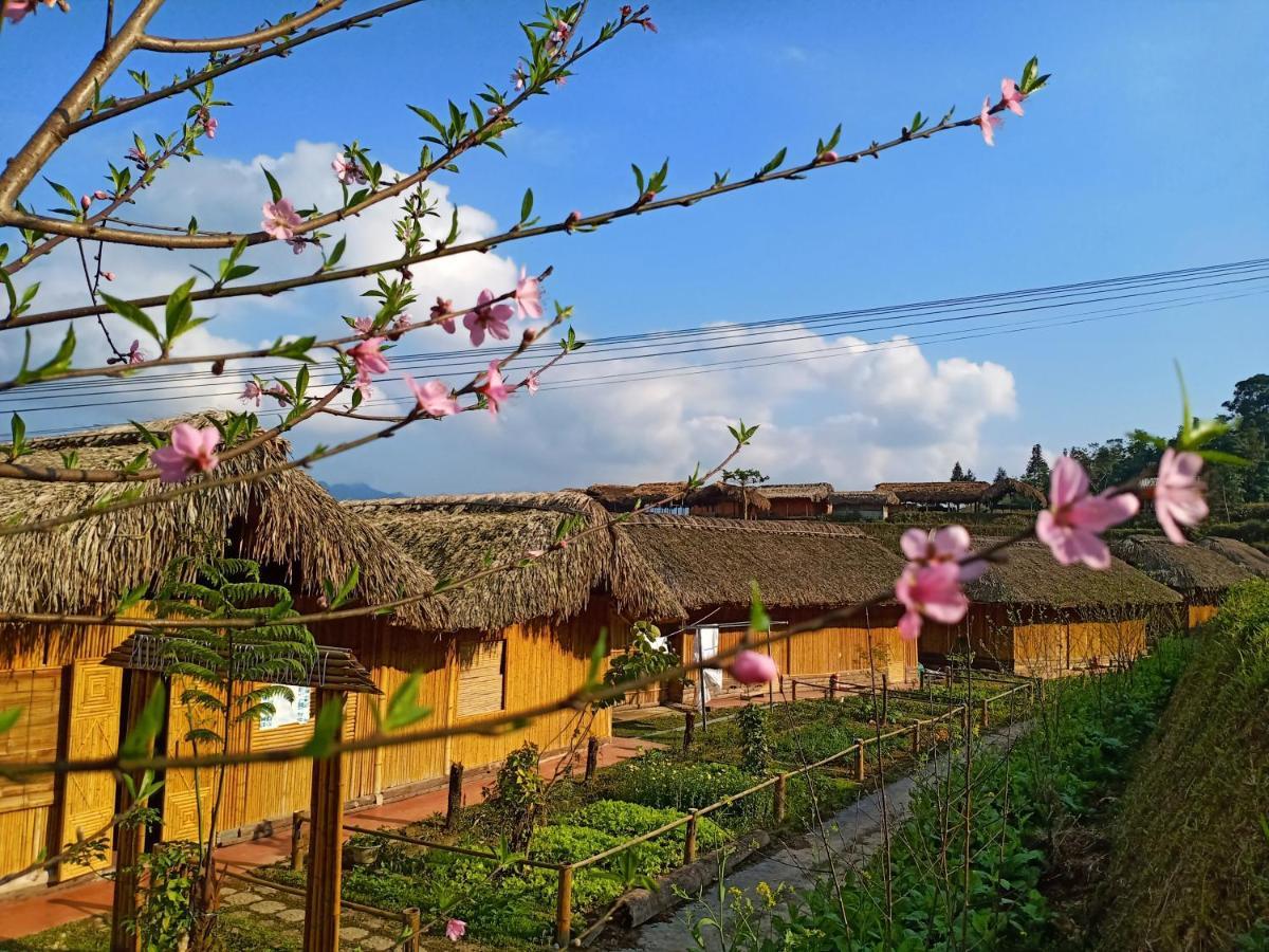 Hoang Su Phi Bungalow Εξωτερικό φωτογραφία
