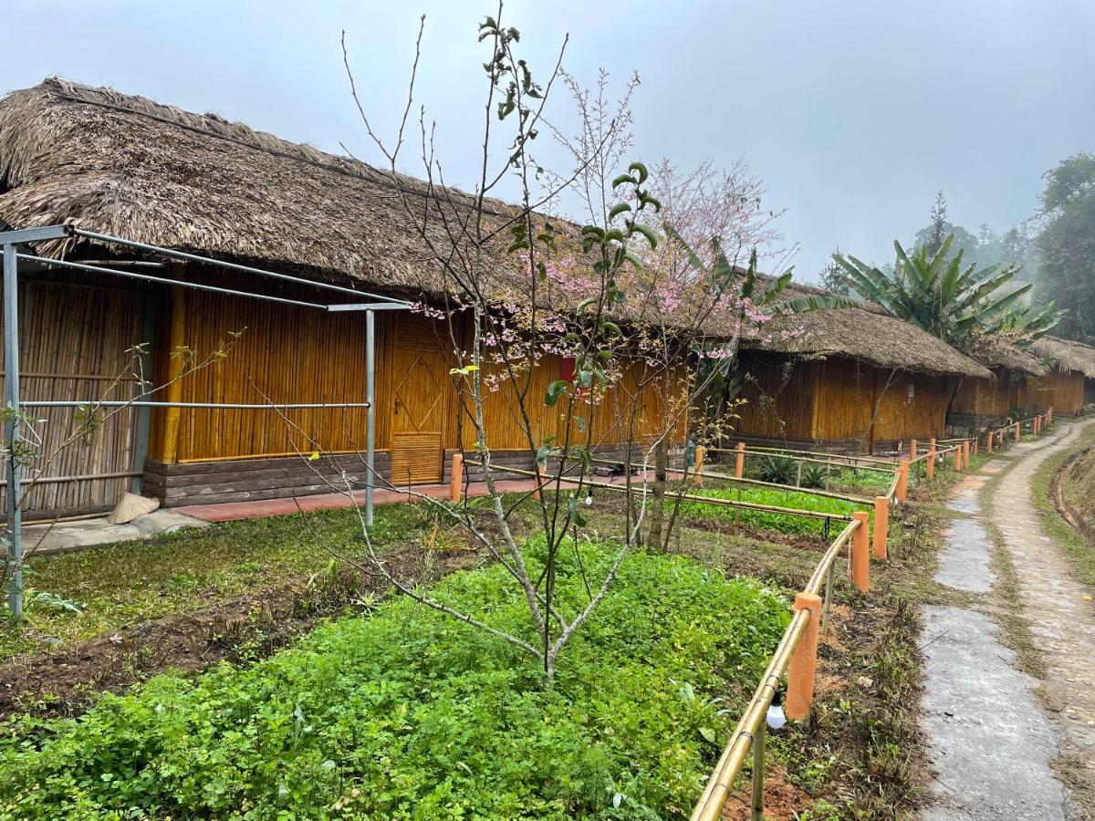Hoang Su Phi Bungalow Εξωτερικό φωτογραφία